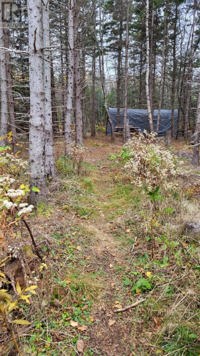 10 Swallow Point Road, Goose River, Prince Edward Island  C0A 2A0 - Photo 21 - 202425958