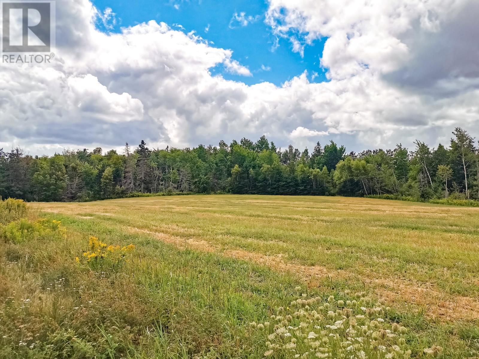 3351 Seven Mile Road, Cardigan, Prince Edward Island  C0A 1G0 - Photo 8 - 202521449